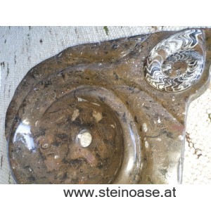 Waschbecken / Steinschale Fossilien-Marmor